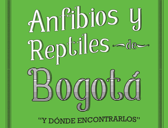 Afibios y reptiles de Bogotá