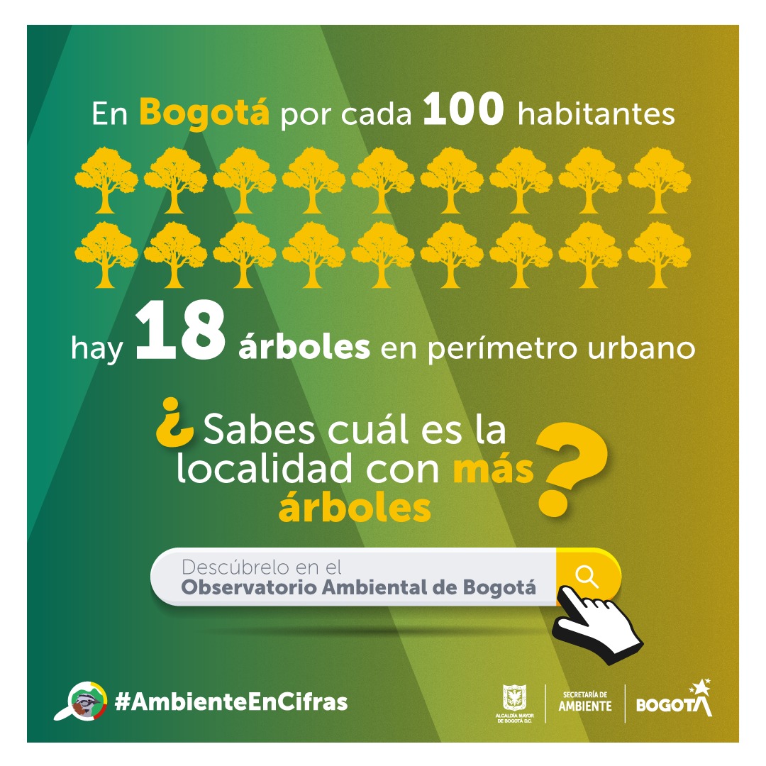 Árboles por habitante en Bogotá 2023 : Pieza OAB