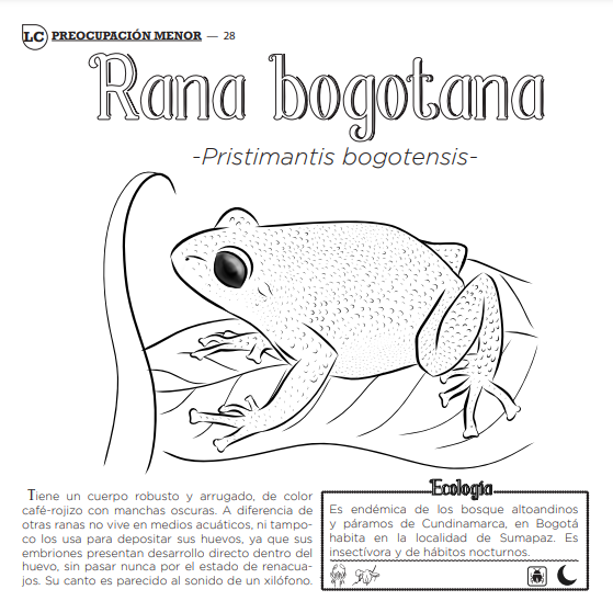 Rana bogotana- Autor: La Zarigüeya lectora.