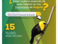 Aves registradas en humedales de Bogotá.