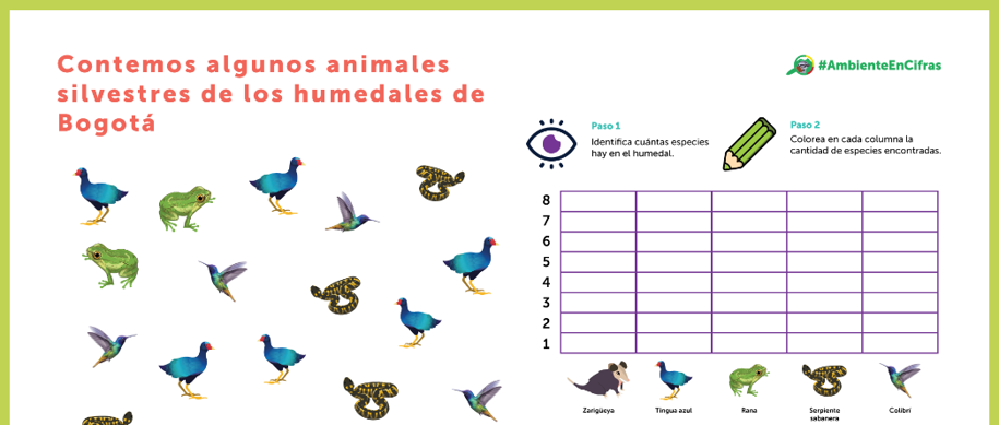 Juegos para niños y niñas : Observatorio Ambiental de Bogotá