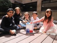 Niños y niñas consultan el portal del Observatorio Ambiental de Bogotá: Foto SDA