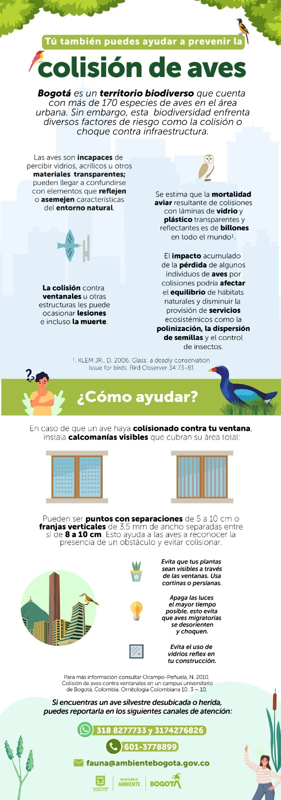 Colisión de aves en Bogotá: pieza SDA