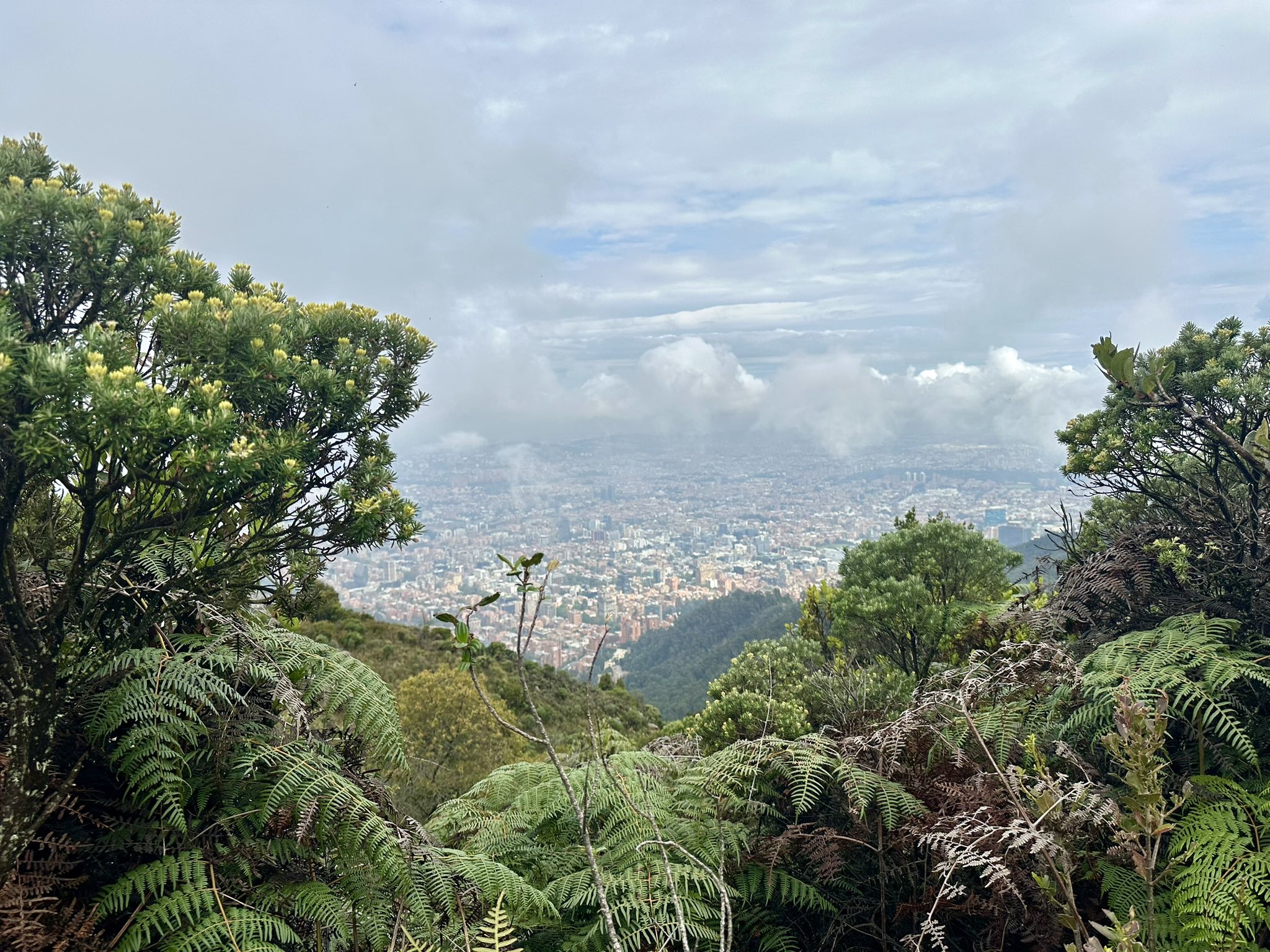 Cerro las Moyas: Foto SDA l Logros ambientales de la administración de Claudia López