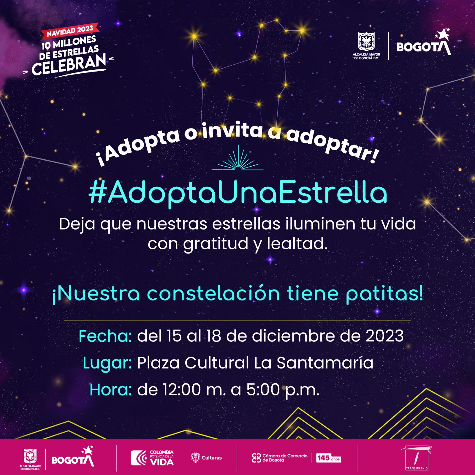Jornada de adopción de perros y gatos en Bogotá 2023: pieza Idpyba