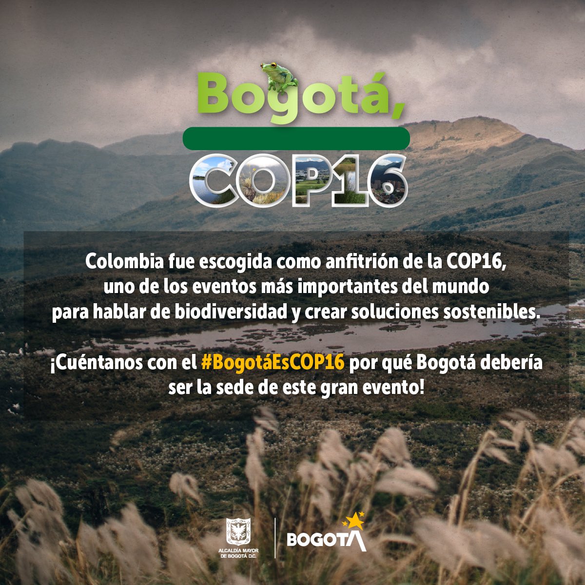 Bogotá, ciudad candidata a sede de la COP16. Pieza Alcaldía Mayor de Bogotá