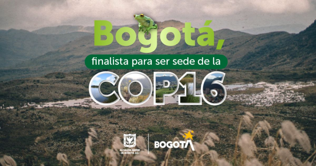 Bogotá, ciudad candidata a sede de la COP16. Pieza Alcaldía Mayor de Bogotá