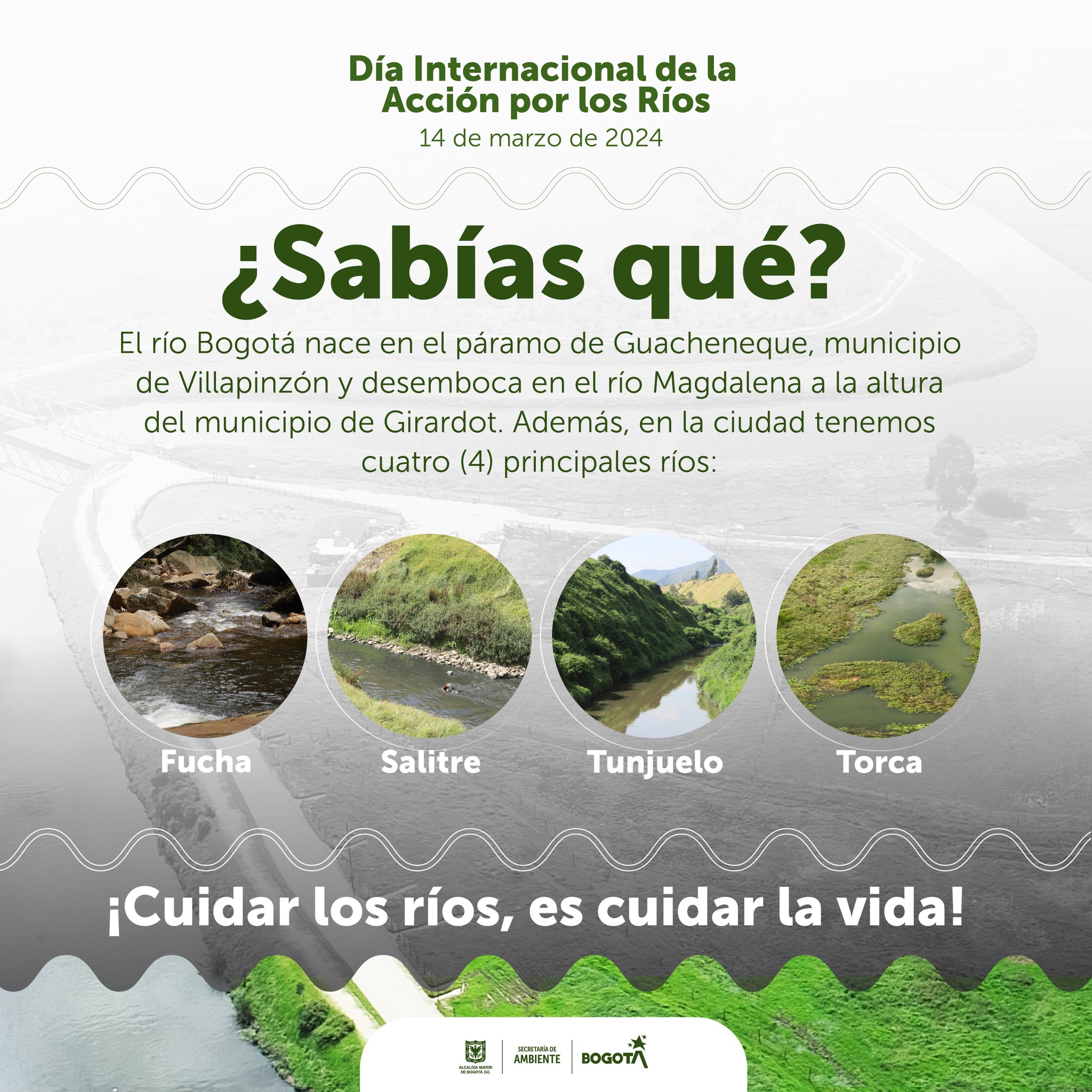 Día Internacional de Acción por los ríos : pieza SDA