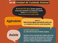 Esterilizar perros y gatos en Bogotá: pieza IDPYBA