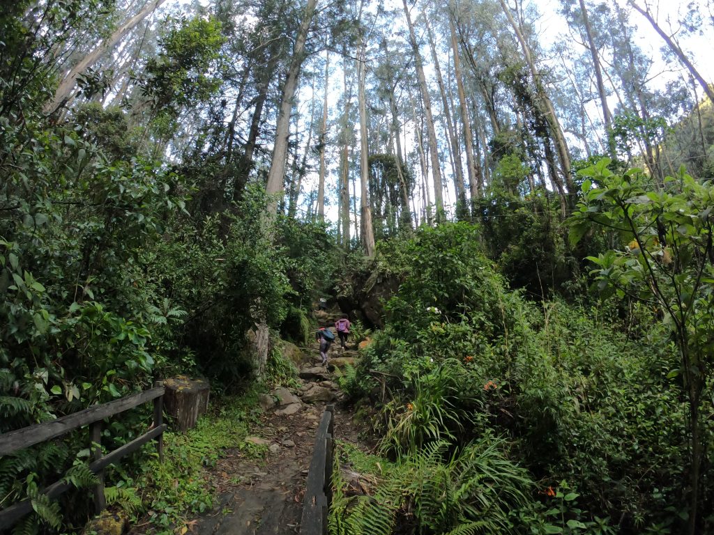 Quebrada La Vieja: foto SDA