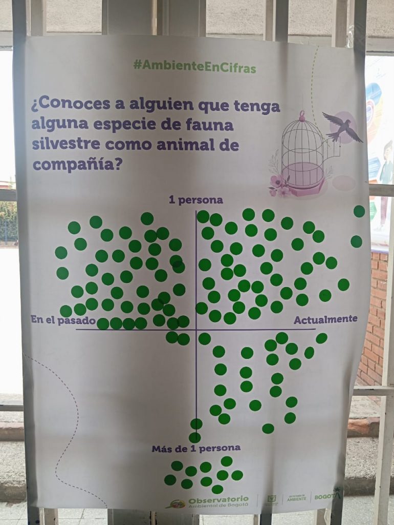 Actividad de percepción sobe tráfico de fauna 