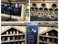 Foto: Banco de semillas del Jardín Botánico de Bogotá - JBB