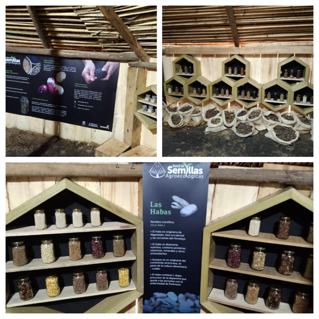 Foto: Banco de semillas del Jardín Botánico de Bogotá - JBB