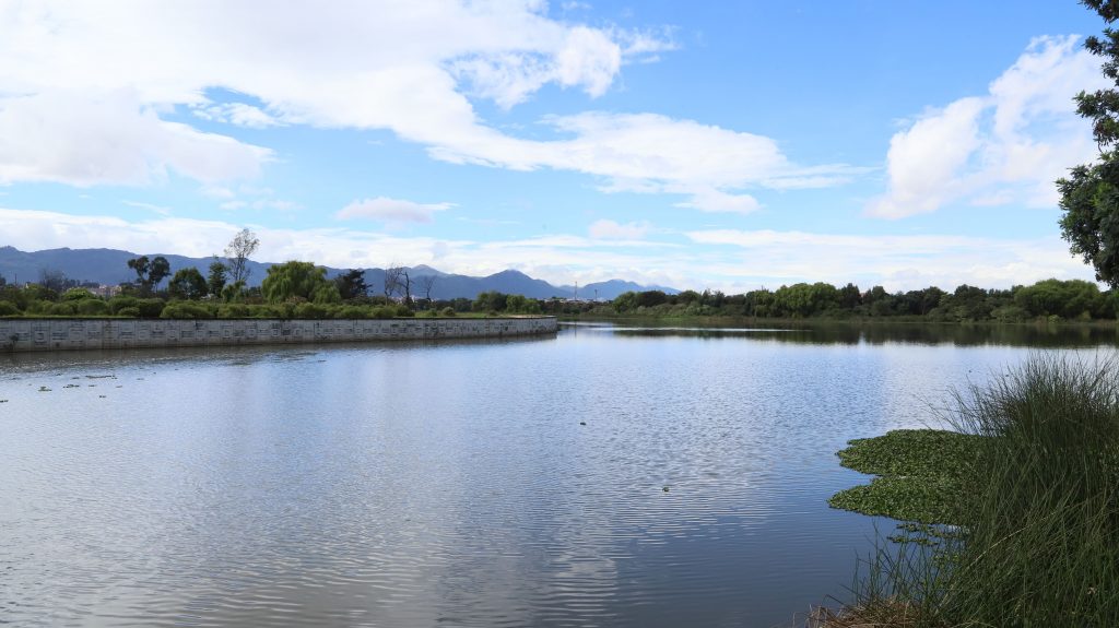 Foto: Reserva Distrital de Humeda Juan Amarillo - Tibabuyes SDA.