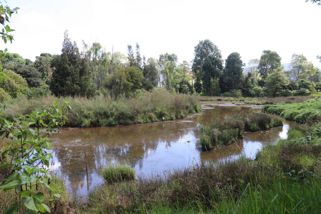 Foto: Reserva Distrital de Humedal El Salitre - SDA. Localidad: Barrios Unidos