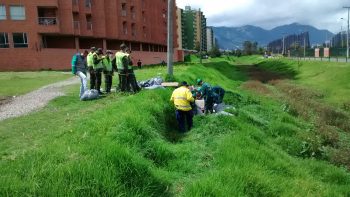 Operativo de recolección de cambuches en el borde de la Quebrada Esmeralda o Canal Brazo el Salitre el 5 de junio de 2014, foto tomada por Edilma Garzón Alfonso.