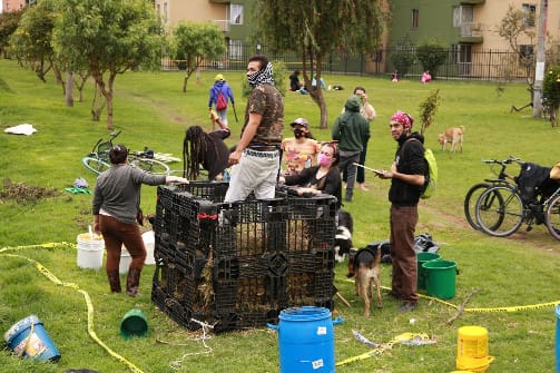 Elaboración de una paca el 5 de diciembre de 2021, foto tomada por Carolina Moreno de Paquerxs Unidos