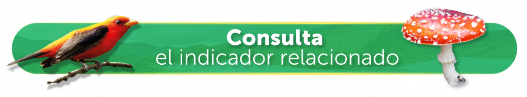 Consulta el indicador relacionado