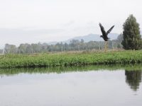 Foto: Reserva Distrital de Humedal Jaboque_SDA