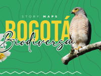 Bogotá Biodiversa