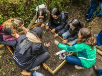 Mesa Distrital de Educación Ambiental: foto SDA