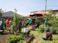 Huerta Tunjuelito: foto JBB