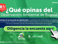 Encuesta de satisfacción OAB 2026
