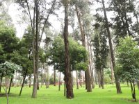 Fotografía: Secretaría Distrital de Ambiental