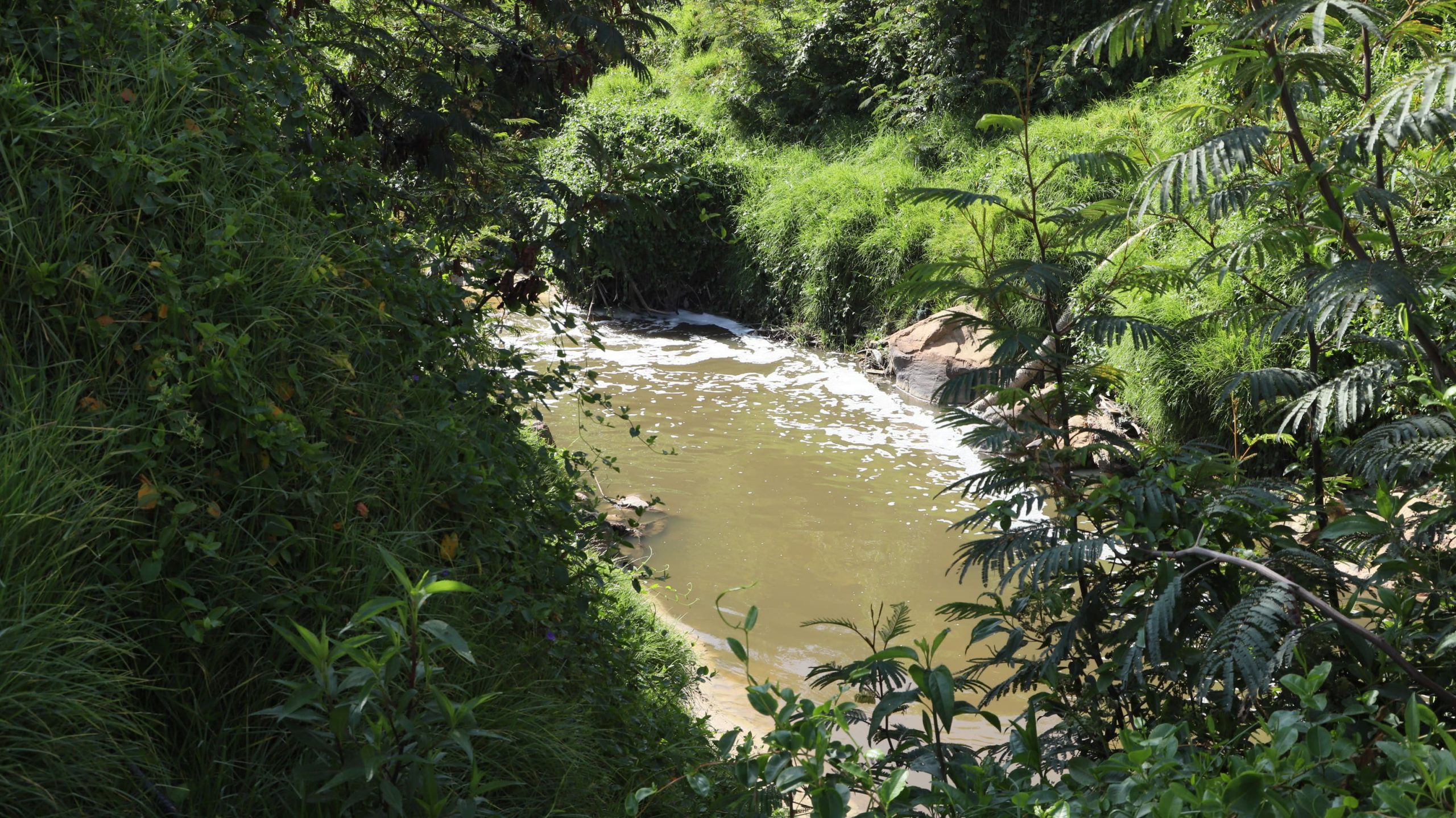 Río Tunjuelo : foto SDA