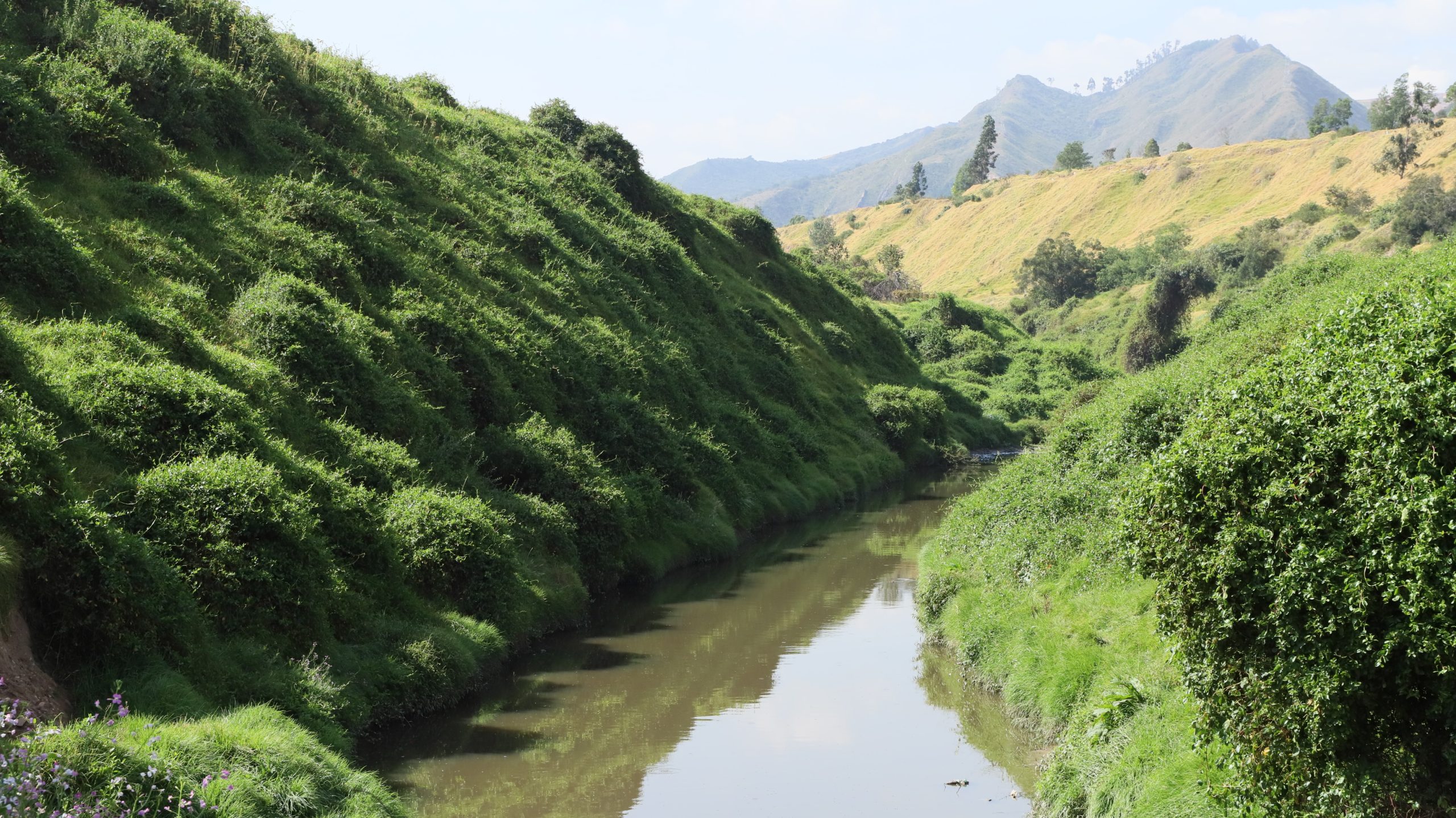 Río Tunjuelo : foto SDA