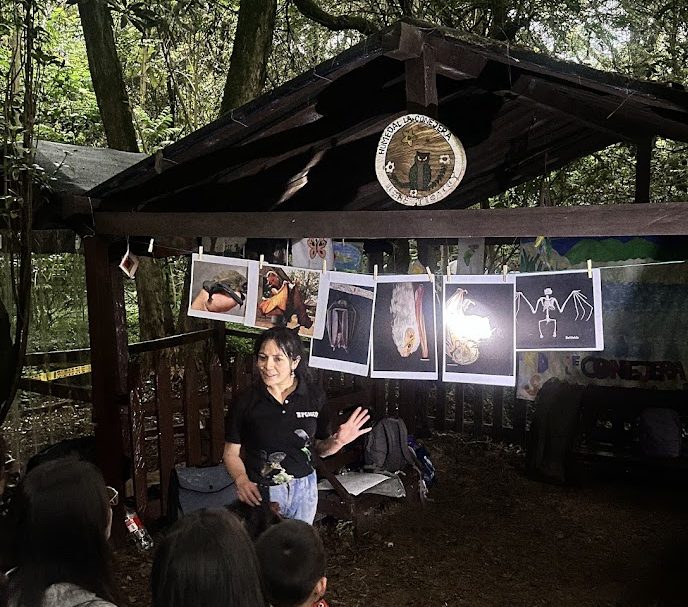 Fotografía: Secretaría Distrital de Ambiente