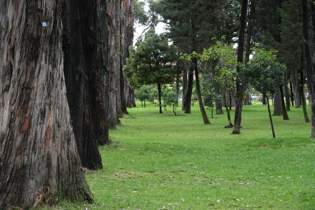 Fotografía: Secretaría Distrital de Ambiente
