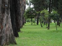 Fotografía: Secretaría Distrital de Ambiente