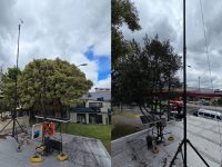 Fotografía: Secretaría de Ambiente